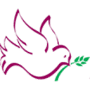 A Better Solution in Home Care