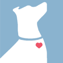 Instinct Dog Behavior & Training