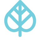 Kava Culture Franchise Group