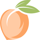 Pampered Peach Wax Bar