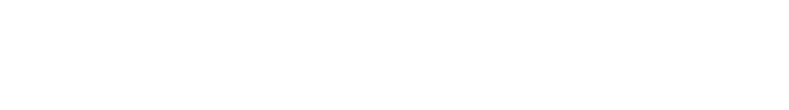 Sky Zone Franchise Group