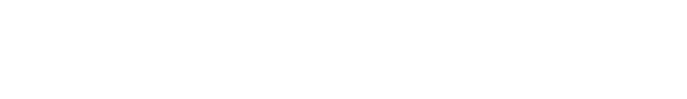 Steak n Shake Enterprises